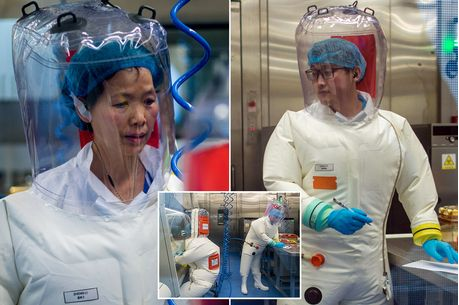 RUHEN 1.500 VIRUSE VDEKJEPRURËSE/ Dalin imazhe nga laboratori misterioz biologjik në Wuhan (FOTO)
