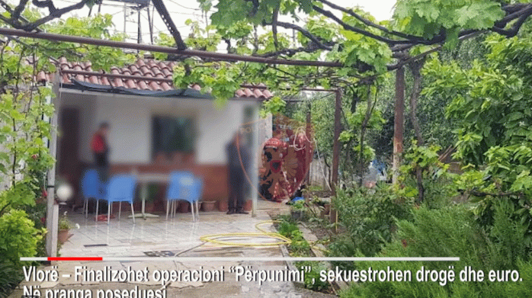 OPERACIONI ANTIDROGË “PËRPUNMI”/ Sekuestrohen 23 kg kanabis pluhuri e çokollate dhe një sasi eurosh, pranga vlonjatit