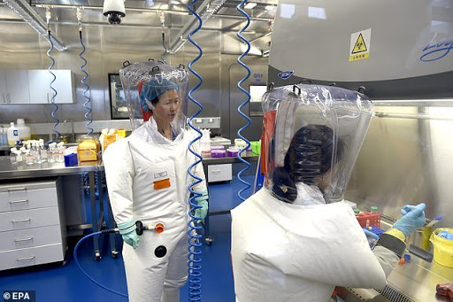 LABORATORI QË TMERROI BOTËN/ Çfarë paralajmëroi virologia një vit para shpërthimit të COVID-19