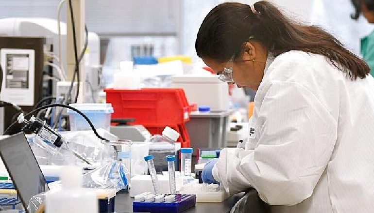 COVID-19/ vaksina e zhvilluar në Tajvan kundër koronavirusit, rezultate shpresuese mbi minjtë laboratorikë