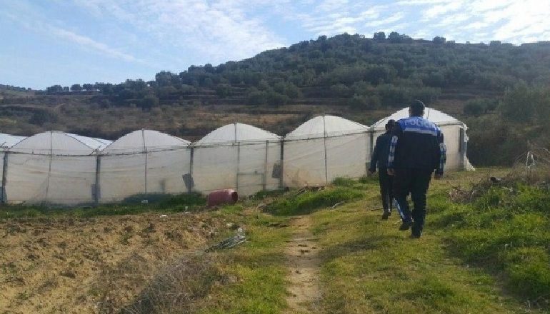 MEGA-OPERACIONI ANTIDROGË NË FUSHË-KRUJË/ Policia nis kontrolle në sera dhe tunele për kanabis