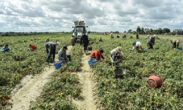 PAS GREQISË/ Italia planifikon të pajisë me dokumente emigrantët që punojnë në bujqësi, përfitojnë mijëra shqiptarë