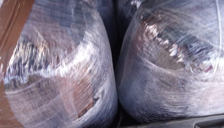 GODITET TRAFIKU I DROGËS NË LEZHË/ Sekuestrohen 95 kg kanabis, 11 mijë euro dhe 3 makina! 4 të arrestuar
