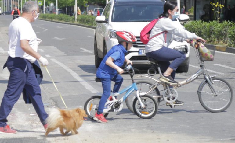MASAT KUNDËR KORONAVIRUSIT/ Tashmë në portalin e-albania mund të merret leje edhe për të shëtitur qenin (FOTO)