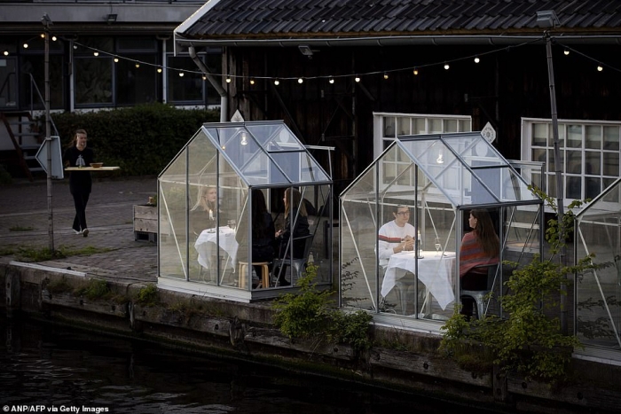 TË FUTUR NË DHOMA QELQI/ Ja si darkojnë njerëzit në një restorant në Holandë gjatë pandemisë (FOTOT)