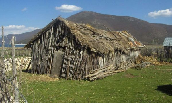 SHQIPTARJA U GJET E LIDHUR NË NJË BARAKE NË KORFUZ/34 vjeçarja: Më rrëmbyen dhe përdhunuan për dy ditë