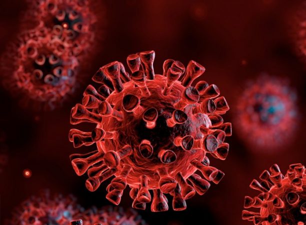 DEKLARATA E FORTË NGA BE/ Zyrtarja e lartë e mjekësisë: Do të goditemi nga vala e dytë e koronavirusit!