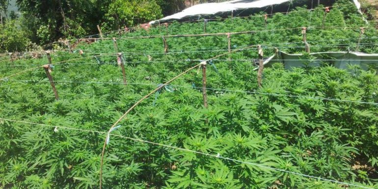 OPERACION ANTIDROGË NË SHQIPËRI/ 30 të shoqëruar në Tiranë, Kukës e Shkodër, hetimet prej 1 viti
