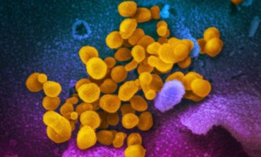 MUND TË ZBULOJË PRANINË E COVID-19 MË SHPEJTË DHE.../ Ekspertët studiojnë sistemin imunitar për të dhëna mbi koronavirusin