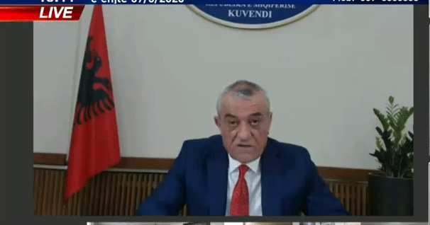KORONAVIRUSI/ Ruçi: Të garantohet sundimi i shtetit të së drejtës dhe shërbimet për qytetarët
