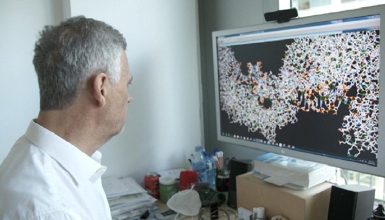STUDIMI/ Antitrupat sintetikë kundër Covid funksionojnë në qelizat e gjitarëve