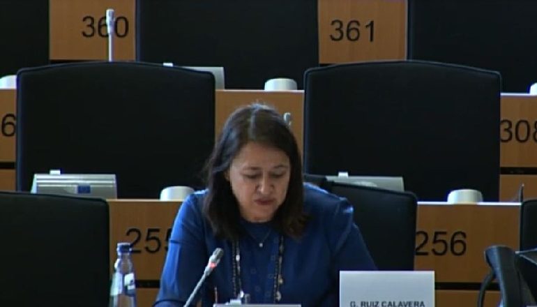 PE DISKUTON PËR SHQIPËRINË/ Calavera: Vijoni dialogun për Reformën Zgjedhore, plotësimi i kushteve i rëndësishëm