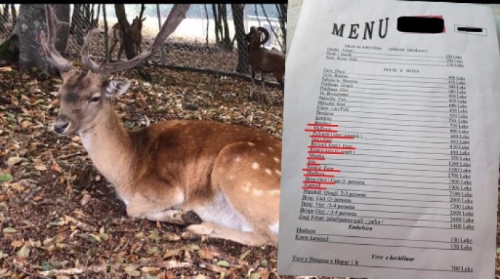 MENU-JA E “WUHAN”-it NË RESTORANTIN SHQIPTAR/ E mbushur me kafshë që ndalohet të gjuhen: Nga breshka e iriqi, te pëllumbi i egër e kaprolli (FOTO)