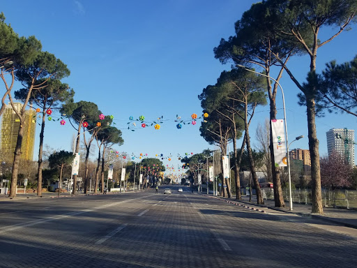 TIRANA QYTETI MË I PREKUR NGA COVID-19/ Ja ku janë pikat më të nxehta