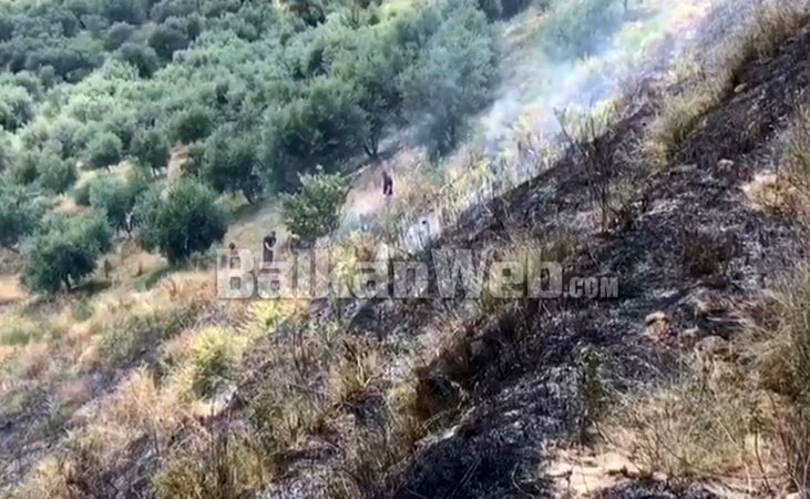 ZJARR NË NJË KODËR ME ULLISHTE NË PATOS/ Zjarrfikësja vijon punën për lokalizimin e flakëve (VIDEO)