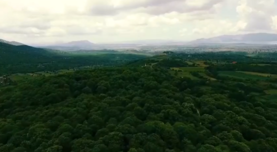 PUBLIKON VIDEON/ Rama: Gështenja, burimi i pasur i ekonomisë rurale në veri të Shqipërisë