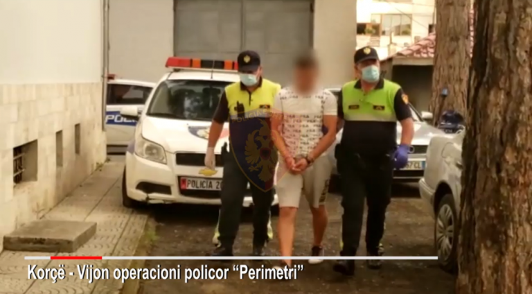VIJON OPERACIONI “PERIMETRI” NË KORÇË/ Arrestohen dhe 5 të tjerë, po transportonin 18 klandestinë në këmbim të 500- 1000 eurove