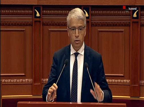 PËRPLASJA TEK TEATRI KOMBËTAR/ Lleshaj: Ligji parashikon deri në përdorimin e armëve, policia qëndroi deri tek shtrëngimi fizik
