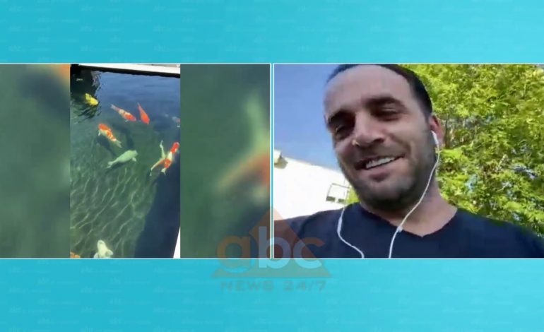 NË VEND TË PISHINËS/ Shqiptari në Zvicër ndërton akuariumin gjigand me peshq (VIDEO)