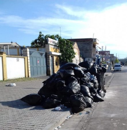 KRIMET KUNDËR MJEDISIT/ Arrestohet administratori i një firmë private, hodhi mbetje ushqimore në rrugë