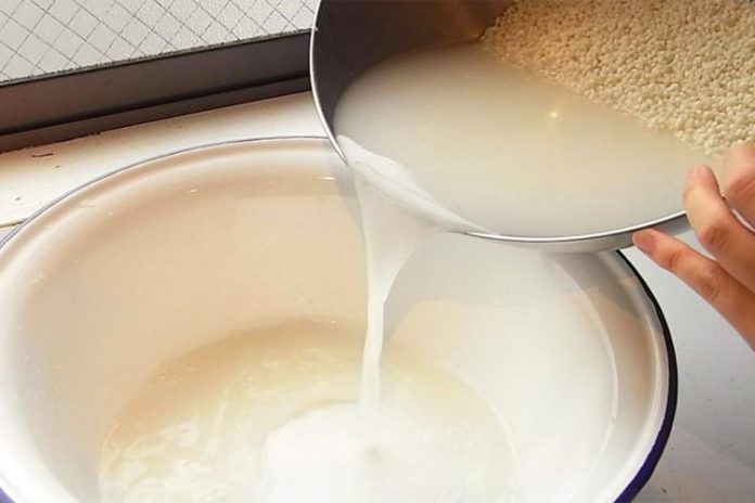 E DINIT? Uji i orizit, vlerat fantastike për flokët dhe lëkurën