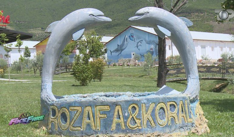 MASHTRIMI I PD/ Banorët protesta kundër fabrikës së peshkut, “ROZAFA” në rregull ligjërisht