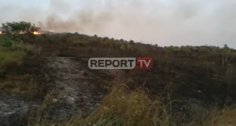 ZJARR NË KODRAT E DIVJAKËS/ Digjen 4 hektarë ullishte e 6 hektarë bimësi e egër (VIDEO)