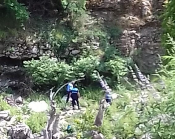 TRAGJIKE/ Rrëshkiti nga pema teksa priste degën, humb jetën kasapi në Këlcyrë