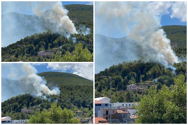 ZJARRI PËRFSHIN KURORËN E GJELBËRT NË MILOT/ Flakët përhapen me shpejtësi dhe rrezikojnë disa banesa(FOTO)