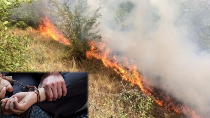 VODHI ENERGJI ELEKTRIKE NGA NJË PUS NAFTE/ Shkaktoi zjarr në një ullishtre, arrestohet 53-vjeçari në Mallakastër (EMRI-DETAJE)