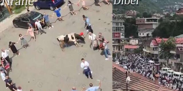 “HARROHET” COVID-19/ Në Tiranë dasmë me daulle e lopë, në Dibër turma i jep lamtumirën 18-vjeçarit (VIDEO)
