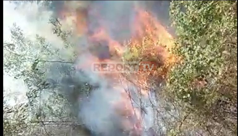 E RËNDË/ Zjarr i qëllimshëm në “Kodrën e Dervinëve” në Krujë, digjen mbi 6 hektar kullotë e pyje