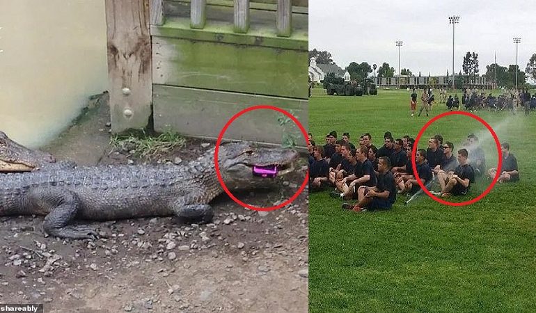 “ÇMENDURI” PA LIMIT/ Këto FOTO do t’ju ndryshojnë ditën…