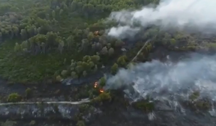 PAMJE ME DRON/ Pylli i Semanit po shkrumbohet, në ndihmë të zjarrfikëses edhe ushtria (VIDEO)