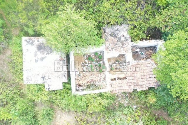 DRONI NXJERR ZBULUAR TEPELENASIN/ Kishte hequr çatinë për të mbjellë hashash (FOTO)