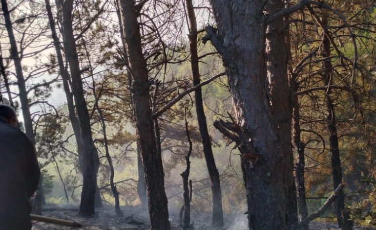 ZJARR I PËRMASAVE TË MËDHA NË DEVOLL/ 30 zjarrfikëse prej dy ditësh në luftë me flakët (FOTOT)