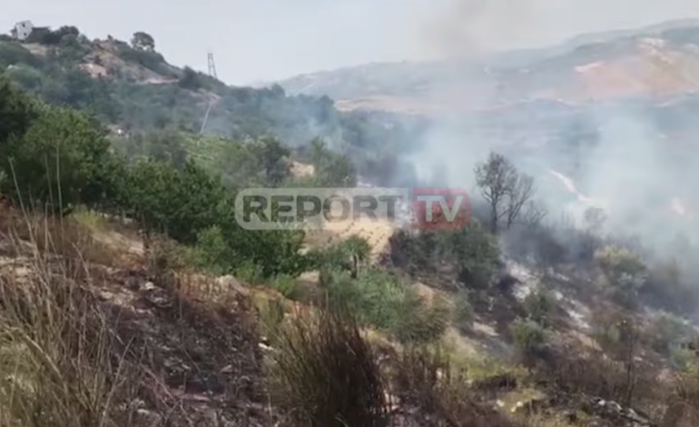 ERA E FORTË FAVORIZON FLAKËT/ Kodra me ullinj e vreshta përfshihet nga zjarri në Hekal të Mallakastrës (VIDEO)