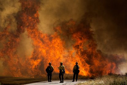 GJENDJE E JASHTËZAKONSHME/ Zjarre të mëdha djegin pyjet në Kaliforni, mbi 1300 zjarrfikës në vendngjarje (FOTO)