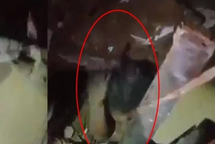 NDODH MREKULLIA/ Momenti kur vogëlushja gjendet e gjallë nën rrënoja pas 24 orësh nga shpërthimi në Bjerut, i dukej vetëm koka (VIDEO)