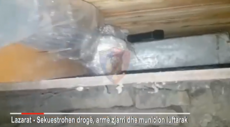 DROGË NË LAZARAT/ Pamje nga operacioni, Policia: 54- vjeçarit iu kapën 15.5 kg kanabis dhe 900 fishekë