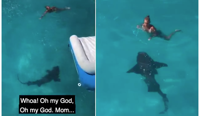 E TMERRSHME/ Gruaja hidhet nga varka dhe e gjen veten duke notuar me peshkaqenin, djali bërtet (VIDEO)