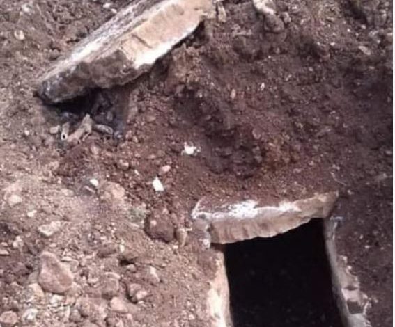 PO PUNONTE TOKËN/ I riu nga Tepelena zbulon varrin historik, gjen thesare arkeologjike dhe monedha të çmuara