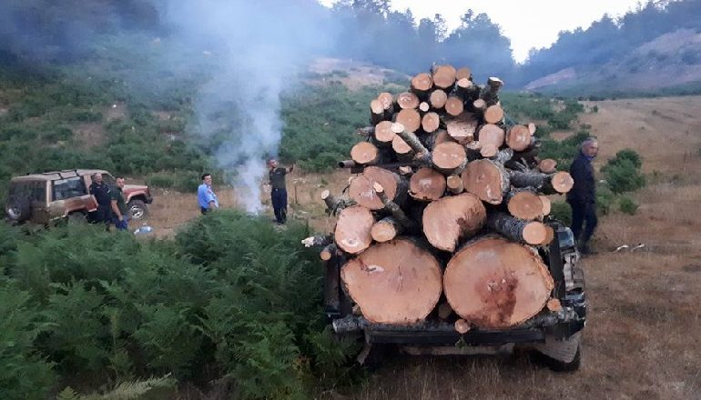 KËRCËNUAN ME KAÇAVIDË PËRGJEGJËSIN E PYJORES/ Arrestohet 27 vjeçari në Elbasan, në kërkim 3 të tjerë (SI NDODHI NGJARJA)
