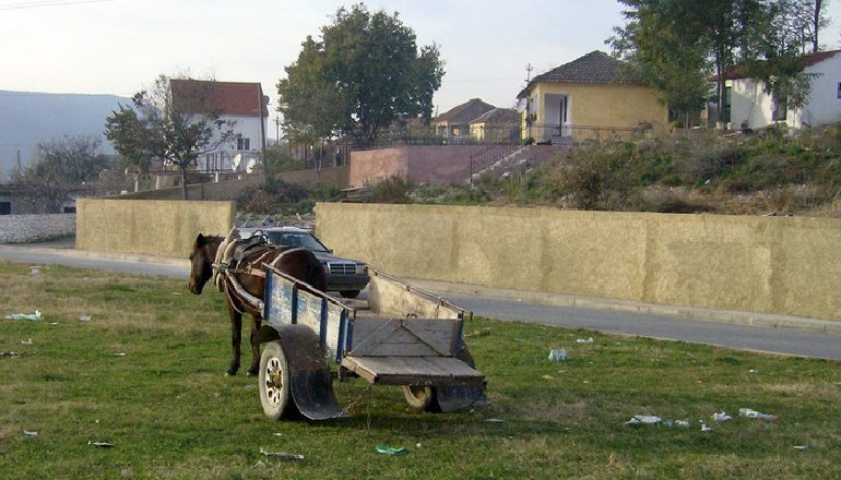 E RËNDË NË FIER/ Rrëzohet nga karroca me kalë, ndërron jetë 58 vjeçari