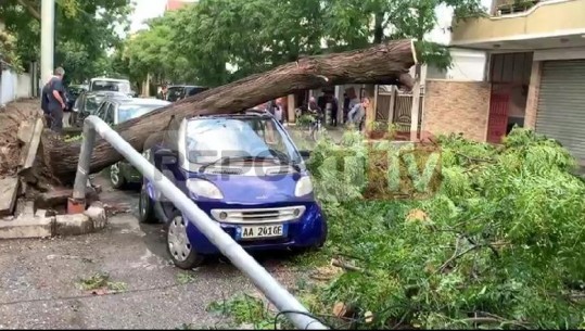 MOTI I KEQ/ Erërat e forta thyejnë pemët, dëmtohen makinat në Shkodër (VIDEO)