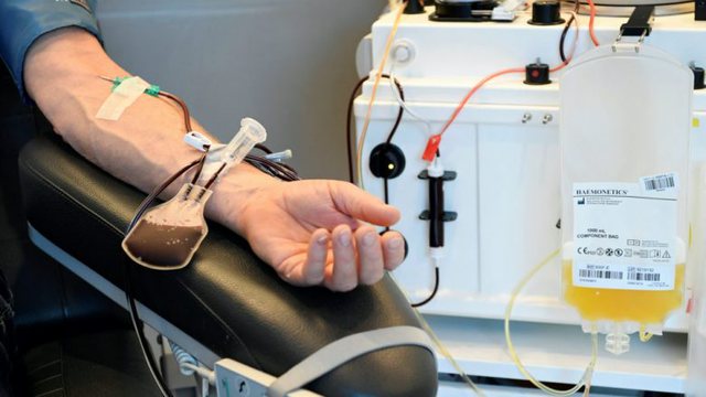 COVID-19/ A shërben plazma për shërimin e pacientëve? Studimi i fundit i ekspertëve sqaron gjithçka