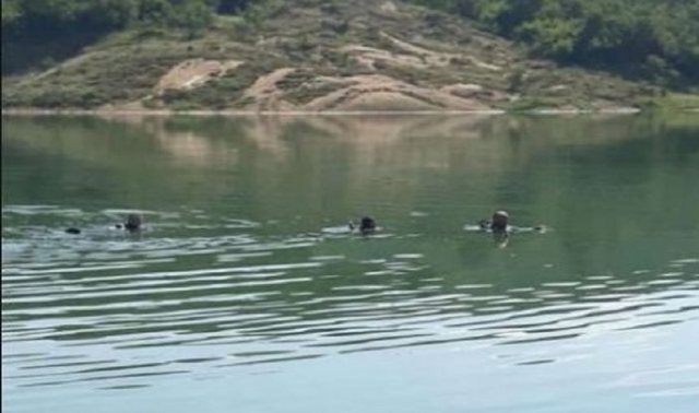E RËNDË/ U mbyt në rezervuar, gjendet trupi i pajetë i 19-vjeçarit në Kukës