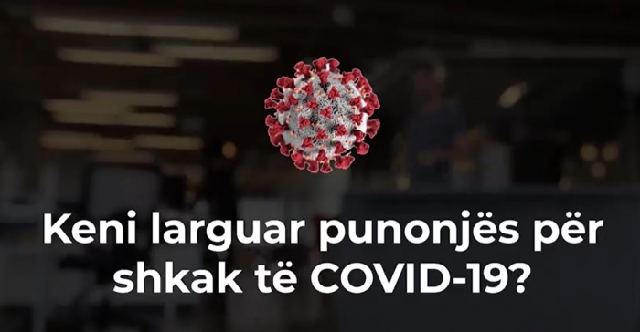KENI LARGUAR PUNONJËS PËR SHKAK TË COVID? Koha t’i ripunësoni! Hap pas hapi, si të aplikoni për të përfituar nga programet e qeverisë (VIDEO)