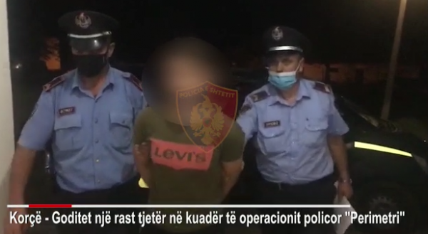 OPERACIONI “PERIMETRI”/ Transportonin tre emigrantë, arrestohen dy nga Tirana në Korçë (VIDEO)