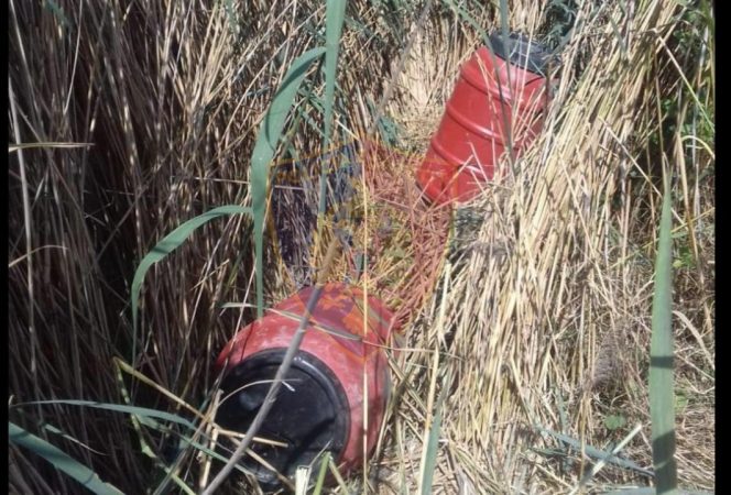 KAPEN 65 KILOGRAM KANABIS NË LUSHNJË/ Pranga 28- vjeçarit nga Bulqiza, në kërkim një tjetër, droga u gjet në një ambient të marrë me qera